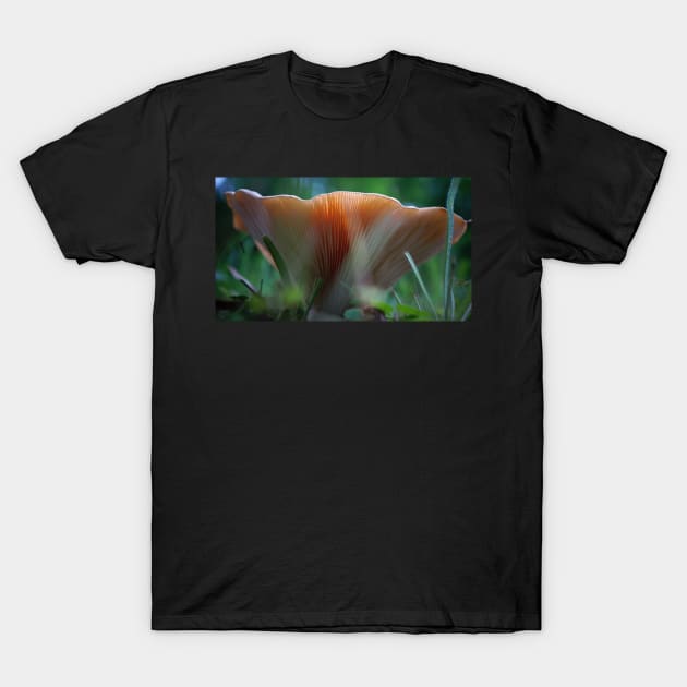 Under the Mushroom T-Shirt by 1Redbublppasswo